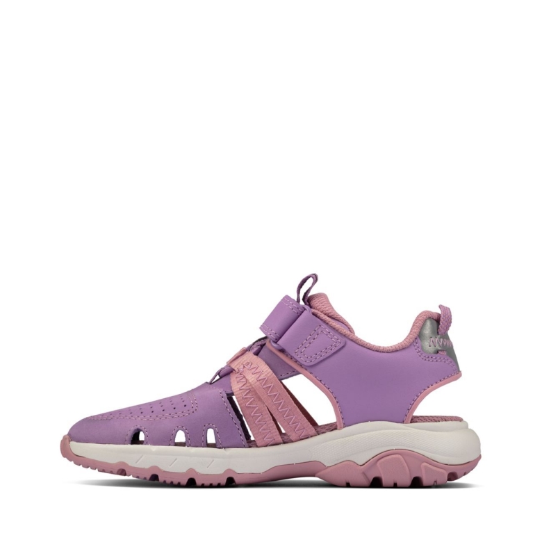 Purple Leader Clarks Rock Brandung K