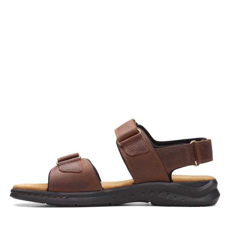 Braune Tumb Hapsford Creek Clarks