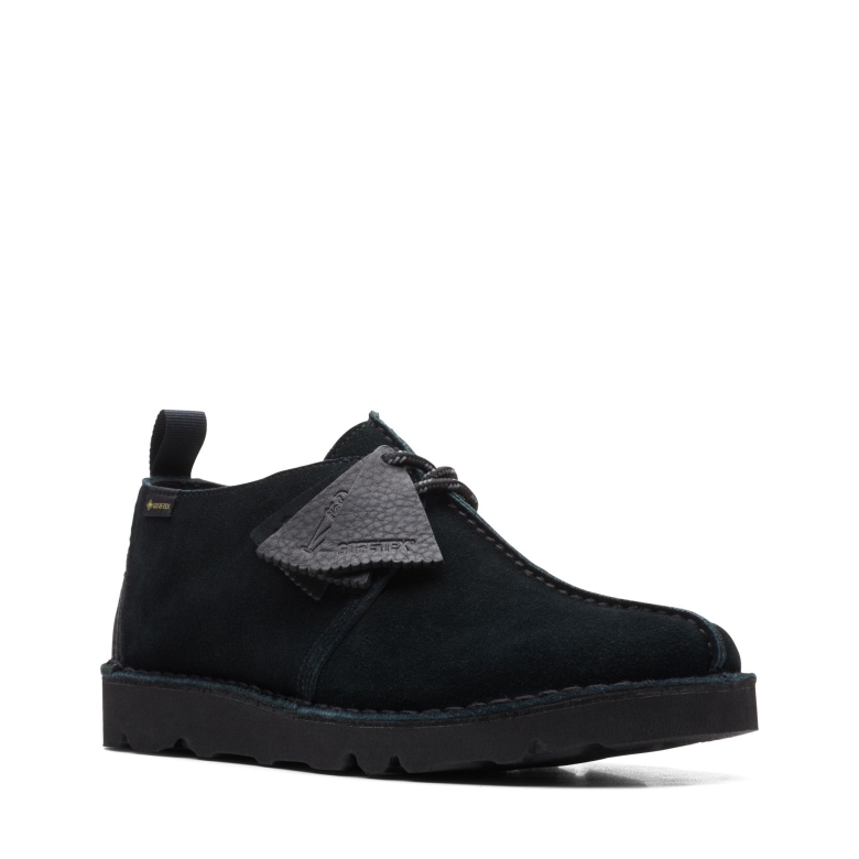 Schwarz Sde Clarks Desert Trek Gtx
