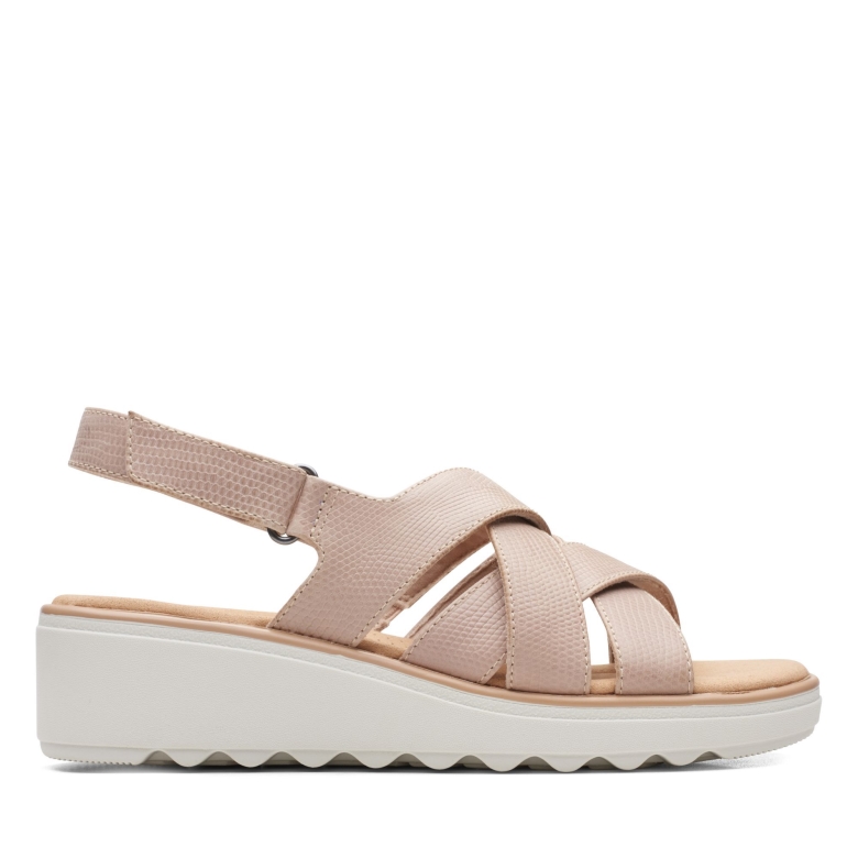 Jillian Spring Clark's Sandfarbenes Führer