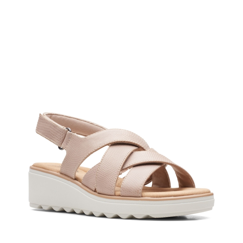 Jillian Spring Clark\'s Sandfarbenes Führer