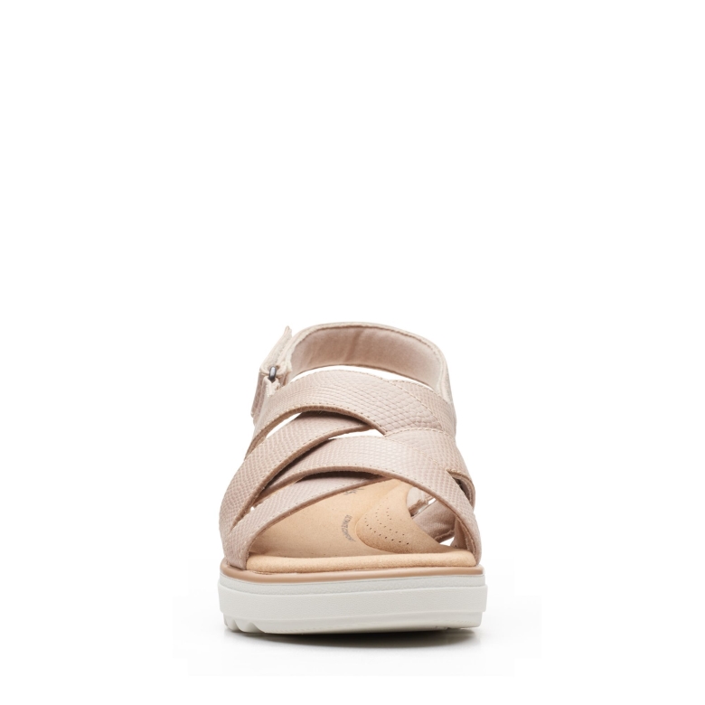 Jillian Spring Clark\'s Sandfarbenes Führer