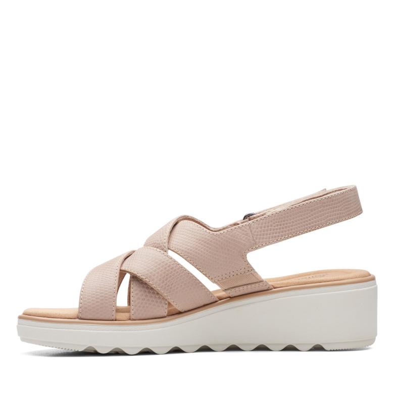 Jillian Spring Clark\'s Sandfarbenes Führer