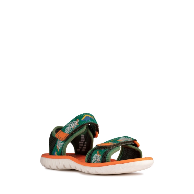 Grüne Kombi Clarks Surfing Tide T