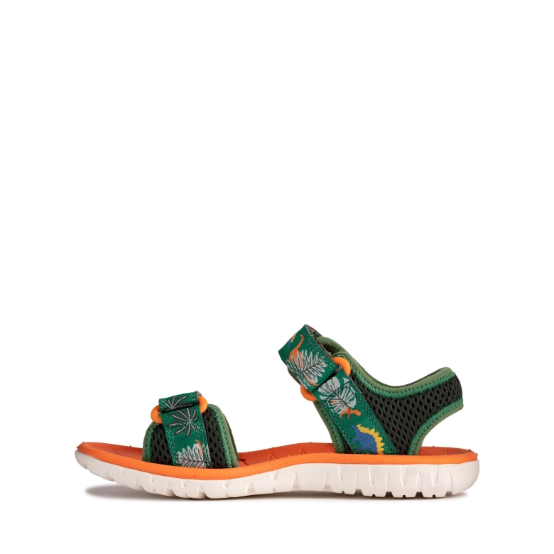 Grüne Kombi Clarks Surfing Tide T